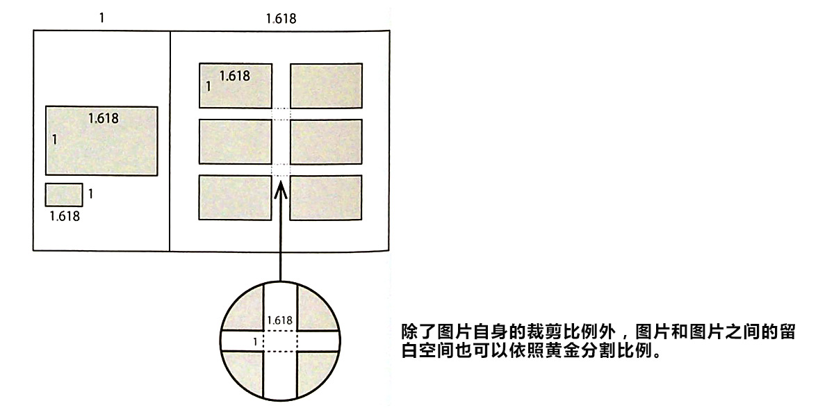 黄金比例讲解